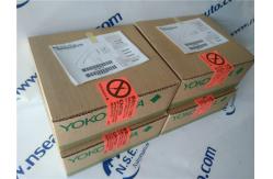 China Yokogawa AAV144-S50 Analog Input Module AAV144-S50 In Stock supplier