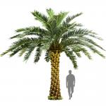 No Nursing Store Artificial Landscape Trees Big Date Palm Tree Customized Size for sale