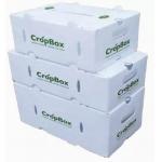 Vegetables Fruit Packaging Boxes Corrugated Plastic Static Protective for sale