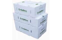 China Vegetables Fruit Packaging Boxes Corrugated Plastic Static Protective supplier