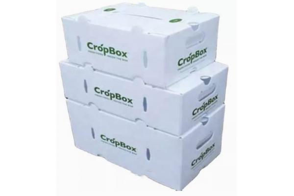 Vegetables Fruit Packaging Boxes Corrugated Plastic Static Protective