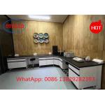 Phenolic Resin Epoxy Resin Chemical Resistant Chemistry Lab Workbench Lab Work Benches Manufacturers With DTC105  Hinges for sale