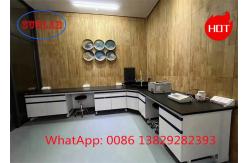 China Versatile Phenolic Resin Chemistry Lab Workbench Laboratory Furniture Design supplier