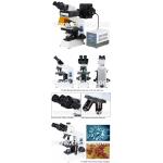 Trinocular / Binocular Fluorescence Microscope For Laboratory A16.0906
