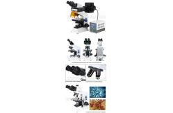 China Trinocular / Binocular Fluorescence Microscope For Laboratory A16.0906 supplier