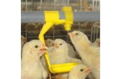 China Automatic Poultry Chicken Ball Valve Nipple Drinkers For Poultry Drinking System supplier