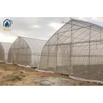 Commercial Large Agricultural Greenhouse UV Film Vegetable Hydroponic Greenhouse for sale