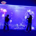 360 Degree Audio Visual Holographic Immersive Projection System for Entertainment