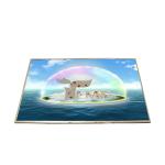 Size 15.4 inch 60Hz 262K a-Si TFT-LCD B154EW02 V6 LCD Panel for sale
