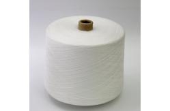 China 20/6 20/9 100% Polyester Bag Closing Thread Low Shrinkage supplier