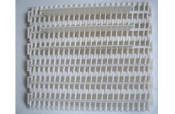 China PP Plastic Modular Belt Flat Top Modular Belt Wtih FDA Certificate supplier