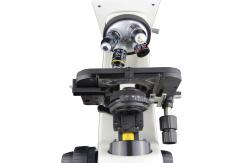 China CFI Optical System Compound Optical Microscope A12.0705 For Laboratory supplier