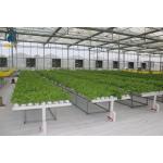NFT Hydroponic Lettuce Grow Hydroponic System With Vegetable Hydroponic Tubes