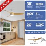 Customized ABS Blades LED Ceiling Fan with WiFi Tuya Control and Lighting Solutions