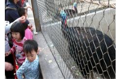 China Commercial Bird Cages 30m Aviary Wire Netting No Elongation supplier