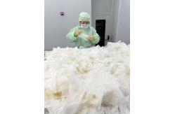 China Disposable Powder Free ESD PVC Glove supplier