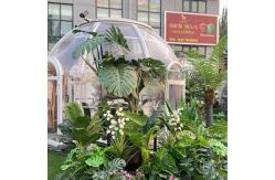China Diameter 3m Outdoor Bubble Tents PC Transparent Bubble Tent With LED supplier