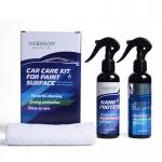 Multipurpose Car Wax Spray Polish Paint Cleaner Car Care Kit For Paint Surface for sale