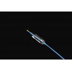 PA12 Dilation Balloon Catheter Using High Performance Balloon Material