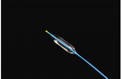 China PA12 Dilation Balloon Catheter Using High Performance Balloon Material supplier