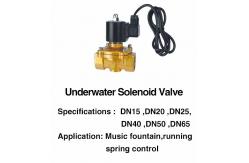 China DN25 AC/DC Brass Waterproof IP68 Electromagnetic Water Valve supplier