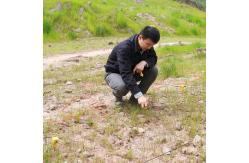 China High Performance Seismic Instruments For Seismic Exploration And Data Collection supplier