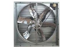 China Automatic Broilers / Hens Chicken House Exhaust Fans Ventilation supplier