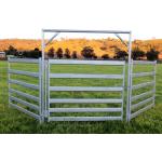 20pcs Bundle Heavy Duty Cattle Corral Panels For Sale & Gate for sale