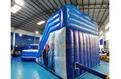 China Frozen Double Jumping Bouncer Inflatable Water Slide With Pool supplier