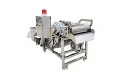 China Portable 500kg/Hour Vegetable And Fruit Washing Machine supplier