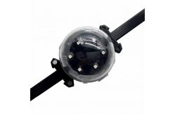 China Building Bridge Decoration RGBW Pixel Lights Outdoor Point Light supplier