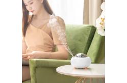China Small 220ml Essential Oil Aroma Diffuser Remote Control 20mL/H Large Room supplier