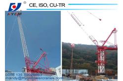China 2.2ton Tip Load Luffing Boom Tower Crane 4522 Internal Climbing Tower Crane Q345B Angle Steel Mobile Jib Crane supplier