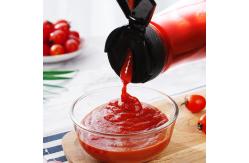 China ISO 14001 ODM Plastic Seasoning Bottles Reusable Honey Squeeze Bottle BPA supplier