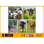 Hinge Joint Metal Farm Fence 2.5mm Wire Grassland Fence for sale