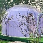 UV Resistance Garden Dome Bubble Tent Height 2.7m Igloo Tent House for sale