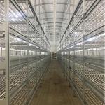 Durable Outdoor Mushroom Greenhouse Customized Length For Efficient Space Utilization for sale
