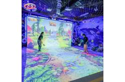 China Joyful Beach Projection Game Interactive Equipment For Indoor Learning Events supplier
