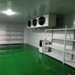 Thermal Insulation Cold Storage Panel Plant Partition Board Purification Board Polystyrene Board