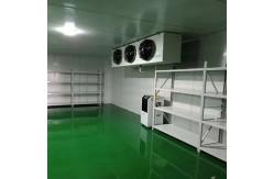 China Thermal Insulation Cold Storage Panel Plant Partition Board Purification Board Polystyrene Board supplier