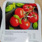 Premium Glossy Surface RC Inkjet Photo Paper For Large Format Printing