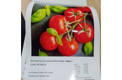 China Premium Glossy Surface RC Inkjet Photo Paper For Large Format Printing supplier