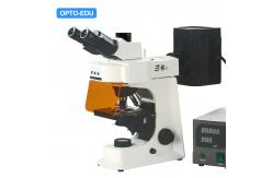 China OPTO-EDU A16.2601-B2 Fluorescent Microscope, Binocular, B/G supplier