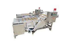China Ozone Bubble Chili Raisin 500kg/h Mango Washing Machine supplier