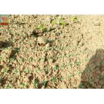 Light Weight Agricultural Netting , Plastic Mesh Netting For Turf Rolls Production for sale