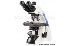 China infinity Plan Achromatice Compound Optical Microscope 3W LED A12.1502 Backward Quadruple Nosepiece supplier