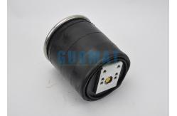 China 1R11-701 Suspension Air Spring Phoenix 1DK21 Dunlop FR D11B30 M12 Bolts supplier