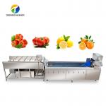 Multifunction Fruit And Vegetable Processing Line Parallel Brush Machine for sale