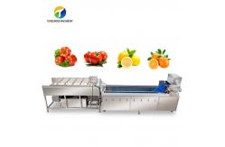 China Multifunction Fruit And Vegetable Processing Line Parallel Brush Machine supplier