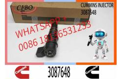 China Remanufactured High Quality Common Rail Diesel Fuel Injector 3087648 3406604 supplier
